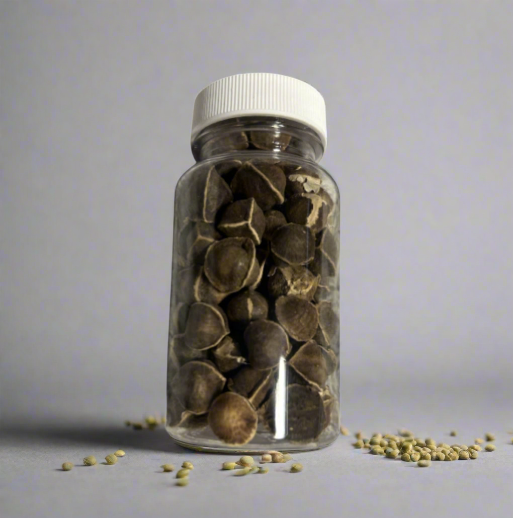 Moringa seed (1 oz bottle )